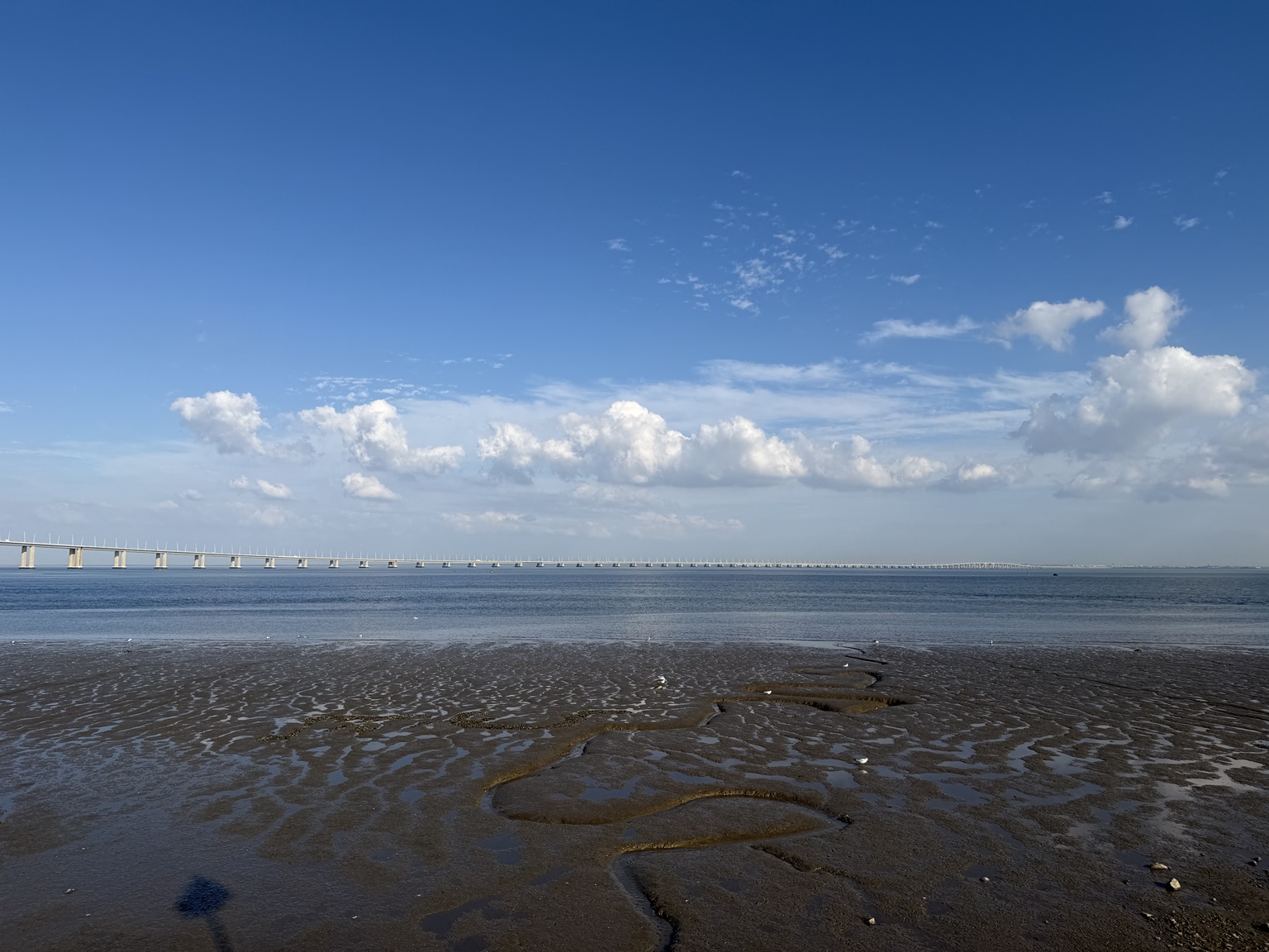 特茹河落潮后露出的滩涂与曲折水沟，几只海鸟散在浅水边，瓦斯科·达伽马大桥在蓝天白云下伸向远处
