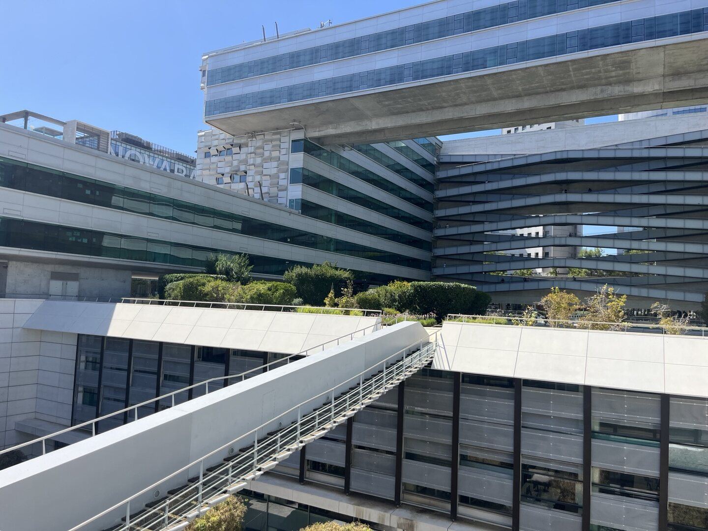 现代建筑的水泥与玻璃之间,一道楼梯从室内伸向半空中的绿色花园